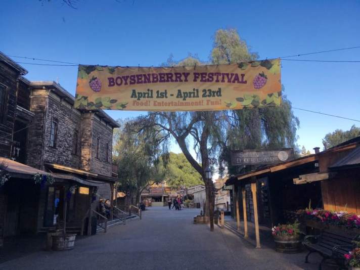 17425842_10211040286941972_5498424394061453835_n